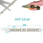 Tira LED 24V | 240xLED/m | 5m | SMD2835 |14000Lm | 20W/M | IP20