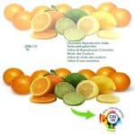 Plafon LED + Downlight - Negro - ASKIM -24W AJUSTABLE - CCT - Color Seleccionable - Imagen 7