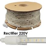 Tira LED con Cable Rectificador - 220V | 120LED/m | 50m - Imagen 8