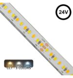 Tira LED 24V | 240xLED/M | 5m | SMD2025 | CCT | 10W/M | IP20