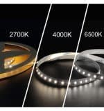 Tira LED 24V | 240xLED/M | 5m | SMD2025 | CCT | 10W/M | IP20