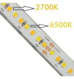Tira LED 24V | 240xLED/M | 5m | SMD2025 | CCT | 10W/M | IP20