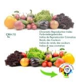 Tira LED COB 12V | 360 LED/M | 5m | FLIP CHIP | 1320Lm |12W/M | CRI90 | IP20 - Imagen 5