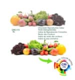 Foco LED 30W VAASA Blanco Carril Monof&aacute;sico CRI +90 CCT - Imagen 6