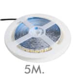 Tira LED 24V 240xLED/M 5m SMD2835 2200Lm 25W/M | IP20