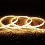 Tira LED Regulable 220V SMD2835 Autorectificada 120 LED/m 1000 lm/m Ancho 12 mm IP65 Corte 10 cm - Imagen 4