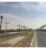 Farola LED 100W 4-6 metros- 5 A&ntilde;os de garant&iacute;a - Imagen 3