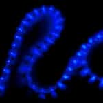 Cord&oacute;n LED 1M 24xF3/M 220VAC IP65 Azul 40.000H [CA-COR-220-B] - Imagen 3