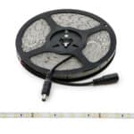 Tira de 300 LEDs 40W 4.000Lm CRI85 6000&ordm;K SMD2835 24VDC IP65 x5M 40.000H [GR-RDT2835-60-24-IP65-CW]-Blanco Fr&iacute;o - Imagen 3