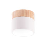 Plaf&oacute;n LED 9W 852Lm Mando a Distancia (Intensidad-CCT) 10.000H [HO-CCT-DL9W] - Imagen 4