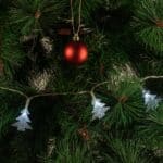 Guirnalda LED Interior 3M [HO-XMAS-016-IP20-3M-CW] - Imagen 3