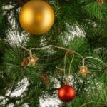 Guirnalda LED Interior 5M [HO-XMAS-020-IP20-5M-WW] - Imagen 3