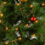 Guirnalda LED Interior 3M [HO-XMAS-027-IP20-3M-WW] - Imagen 3