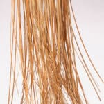 L&aacute;mpara Colgante "Puerto Vallarta" [SKD-P80042] - Imagen 3