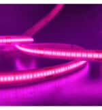 Tira LED COB 24V | 480 LED/M | 5M | Especial Para Carnicerías | 1200Lm/M |10W/M | CRI+92 | IP20 | Corte cada 5cm