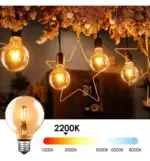 Bombilla LED Filamento Vintage 8W E27 G125 - Dimmable - Imagen 4