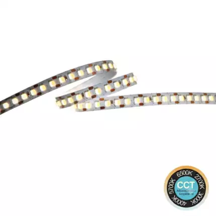 Tira LED 24V 20W/m 5CCT Seleccionable SMD Free Cut | 168 LED/m | Rollo 5 Metros