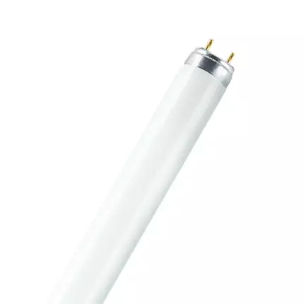 Tubo fluorescente tradicional Ledvance/Osram T8 G13 58W 2850Lm K