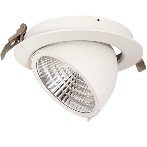downlight-led-30w-philips-certadrive-circular-direccionable-hamburgo (7)