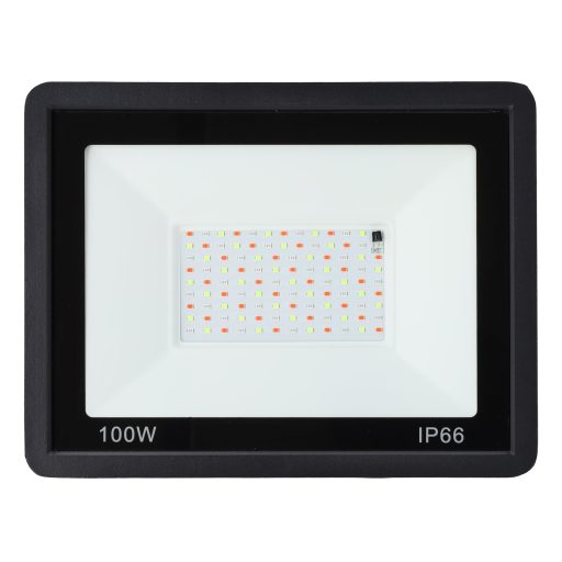 ho_icrgbfl_100w_1