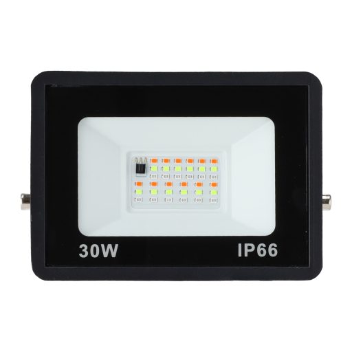 ho_icrgbfl_30w_1