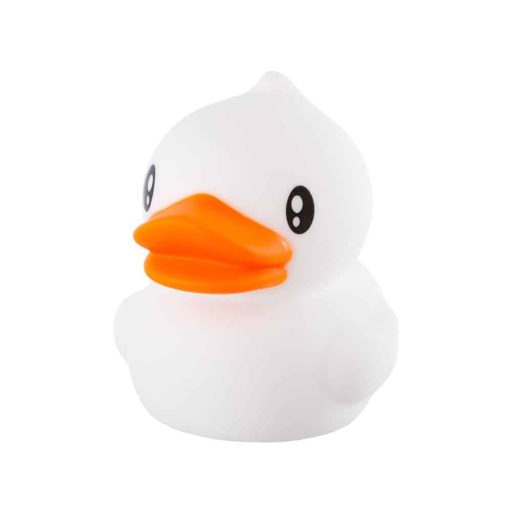 ho_wallduck_ww_0