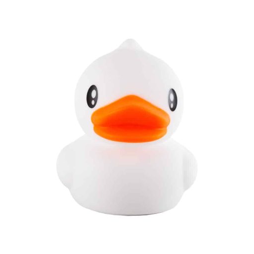 ho_wallduck_ww_1_82074625-d604-4c03-babe-3b0f96ba12f8