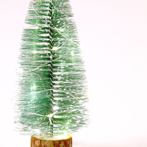 ho_xmas_069_ip20_ww_0