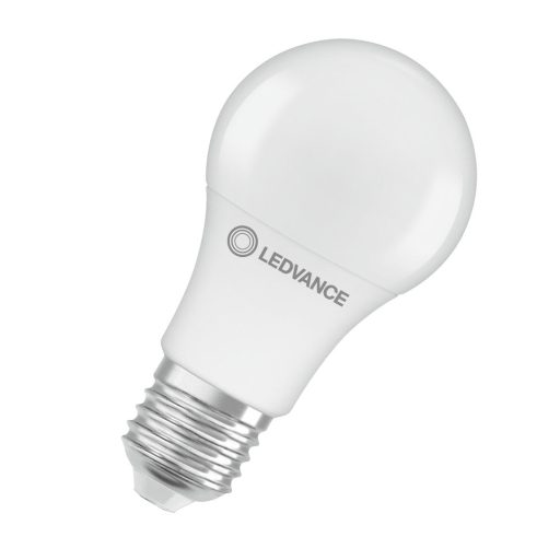 lve_4099854043970_0