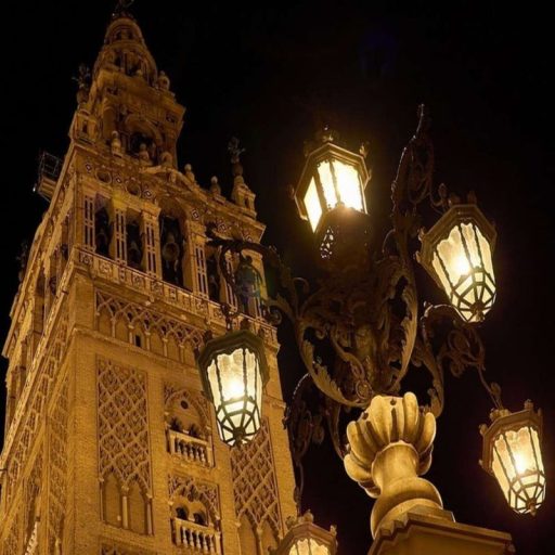 modulo-optico-led-50w-bridgelux-chip-smd5050-8d-para-farola-area-led-1